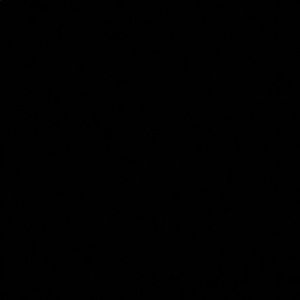 Meet your Posher, Benjamin